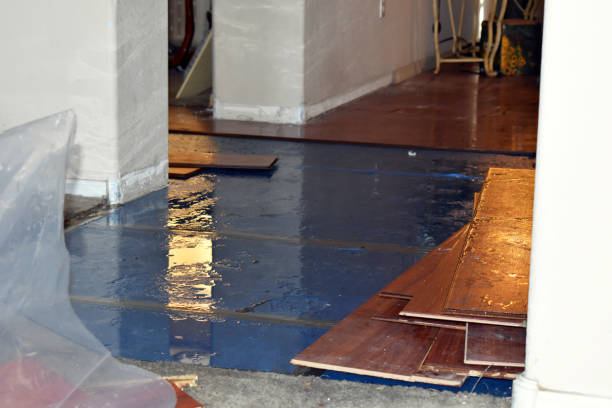 Professional Water Damage Restoration technician working in Vincent, IA